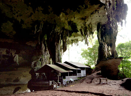4D3N Miri City + Niah Caves + Brunei Day Trip