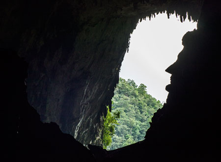 4D3N Miri City + Niah Caves + Mulu Caves      