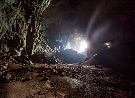 4D3N Miri City + Mulu Caves