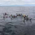 4D3N Miri Leisure Dive (FOR CERT DIVER) 4D3N Miri Leisure Dive (FOR CERT DIVER)