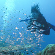 5D4N Luconia Shoals Diving (Liveaboard) 5D4N Luconia Shoals Diving (Liveaboard)