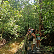 8 Hours Niah National Park Private Charter 8 Hours Niah National Park Private Charter