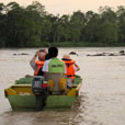Fireflies and Mangroves Cruise Fireflies and Mangroves Cruise