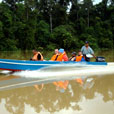 Fireflies and Mangroves Cruise Fireflies and Mangroves Cruise