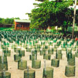 2D1N Selingan Island (Turtle Island) 2D1N Selingan Island (Turtle Island)