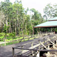 3D2N Kinabatangan River 3D2N Kinabatangan River