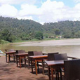 3D2N Borneo Natural Resort (Sukau Wildlife Tours) 3D2N Borneo Natural Resort (Sukau Wildlife Tours)