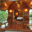 3D2N Borneo Natural Resort (Sukau Wildlife Tours) 3D2N Borneo Natural Resort (Sukau Wildlife Tours)