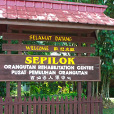2D1N Selingan Turtle Island & Sepilok Orang Utan 2D1N Selingan Turtle Island & Sepilok Orang Utan