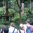 2D1N Selingan Turtle Island & Sepilok Orang Utan 2D1N Selingan Turtle Island & Sepilok Orang Utan