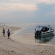 2D1N Selingan Turtle Island & Sepilok Orang Utan 2D1N Selingan Turtle Island & Sepilok Orang Utan