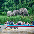 2D1N Selingan Turtle Island & Sepilok Orang Utan 2D1N Selingan Turtle Island & Sepilok Orang Utan