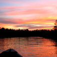 3D2N Selingan Turtle Island & Sepilok Orang Utan + Kinabatangan River 3D2N Selingan Turtle Island & Sepilok Orang Utan + Kinabatangan River