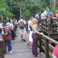 3D2N Selingan Turtle Island & Sepilok Orang Utan + Kinabatangan River 3D2N Selingan Turtle Island & Sepilok Orang Utan + Kinabatangan River