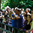 4D3N Selingan Turtle Island + Sepilok Orang Utan +  Kinabatangan River 4D3N Selingan Turtle Island + Sepilok Orang Utan +  Kinabatangan River