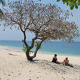 4D3N Selingan Turtle Island + Sepilok Orang Utan +  Kinabatangan River 4D3N Selingan Turtle Island + Sepilok Orang Utan +  Kinabatangan River