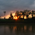 4D3N Selingan Turtle Island + Sepilok Orang Utan +  Kinabatangan River 4D3N Selingan Turtle Island + Sepilok Orang Utan +  Kinabatangan River