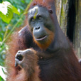 4D3N Sandakan Historical + Wildlife Tour + Selingan Island 4D3N Sandakan Historical + Wildlife Tour + Selingan Island