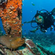 5D4N Mabul Island : Seaventures Dive Resort (Dive Rig) 5D4N Mabul Island : Seaventures Dive Resort (Dive Rig)