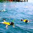 3D2N Semporna (Mabul Island + Kapalai) 3D2N Semporna (Mabul Island + Kapalai)