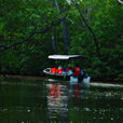 Semporna Proboscis Monkey + Mongroves Cruise + Fireflies Semporna Proboscis Monkey + Mongroves Cruise + Fireflies