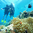 5D4N Semporna Island Hopping (2 Nights At Pom Pom Island Resort) 5D4N Semporna Island Hopping (2 Nights At Pom Pom Island Resort)